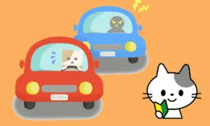 運転を怖がる