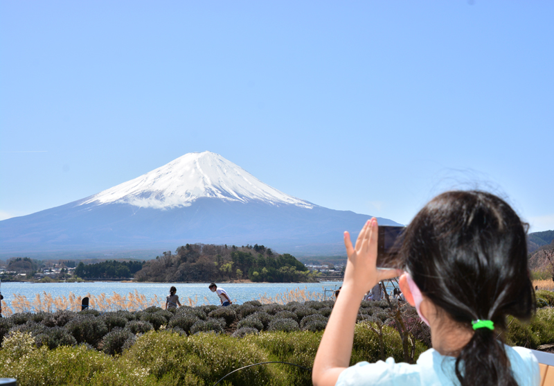 河口湖から見る富士山